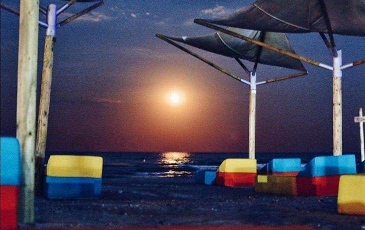 Yvo Lioness & Mamaia Nord Daire Navodari Dış mekan fotoğraf
