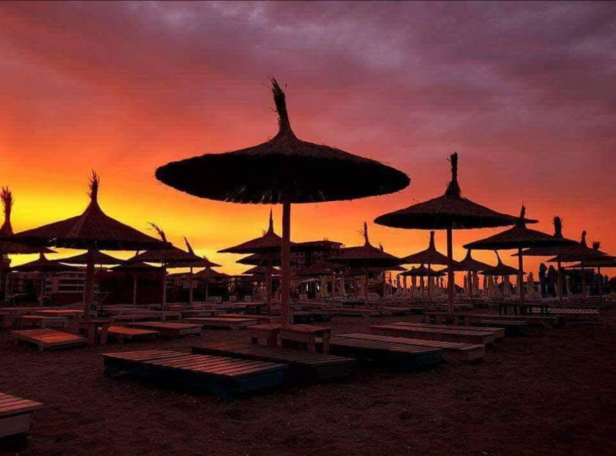 Yvo Lioness & Mamaia Nord Daire Navodari Dış mekan fotoğraf