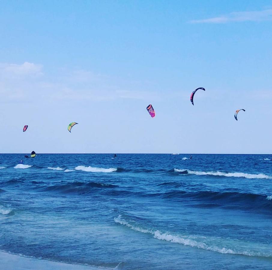 Yvo Lioness & Mamaia Nord Daire Navodari Dış mekan fotoğraf
